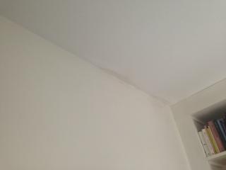 29035_99003_10_1_2.jpg