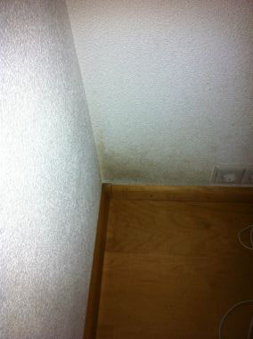 29035_99421_photo_2_2_1.jpg