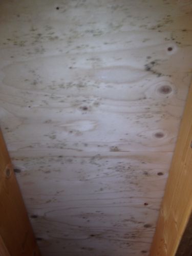 29035_Houtenplaten_1_1.jpg