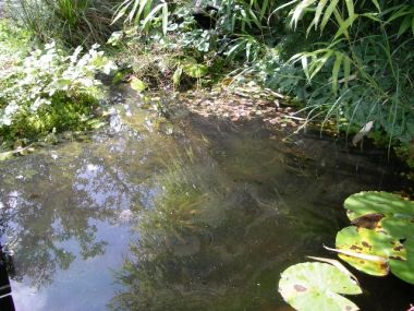 29035_Stof_op_water_1.jpg