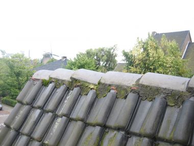 29688_huis_007_6.jpg