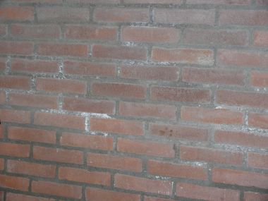 30759_P1010776_1.jpg