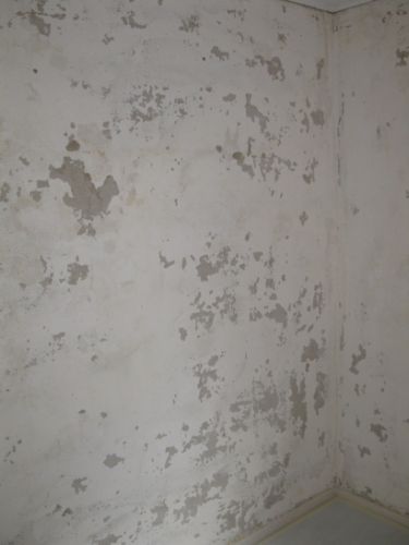 30803_IMG_0231_1.jpg