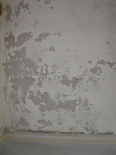 30803_IMG_0233_1.jpg