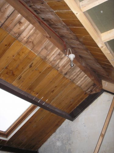 31197_P8070125_1.jpg