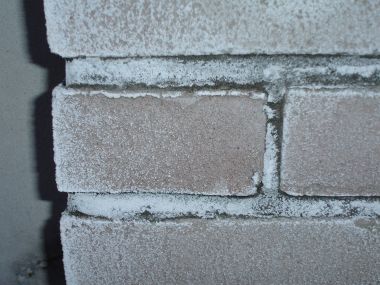 32541_DSC03685_1.jpg