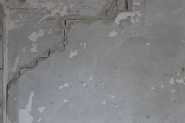 33399_CRW_2134081021_1.jpg
