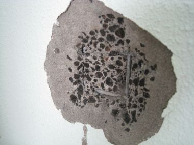 33759_IMG_0563_1.jpg