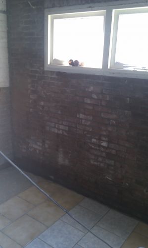 34429_IMAG0244_1.jpg