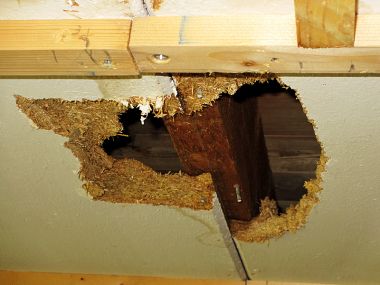36457_plafond_1.jpg