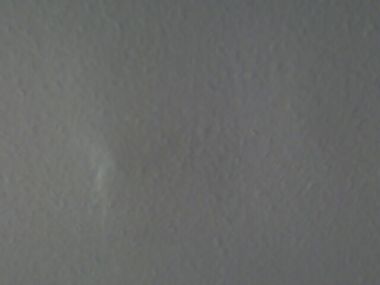 37009_Photo_101908_005_1.jpg