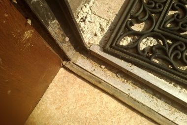 3730_IMAG0384_2.jpg