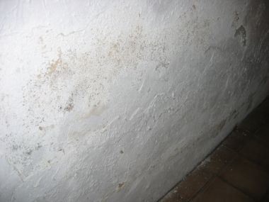 38275_muur_001_1.jpg