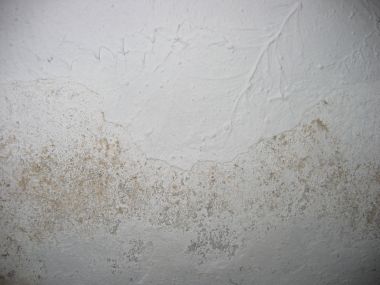 38275_muur_004_1.jpg