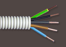 38297_flex_figibel_1.jpg