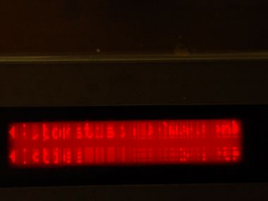 38794_display_1.jpg