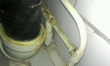 39867_IMG_22251_1.jpg