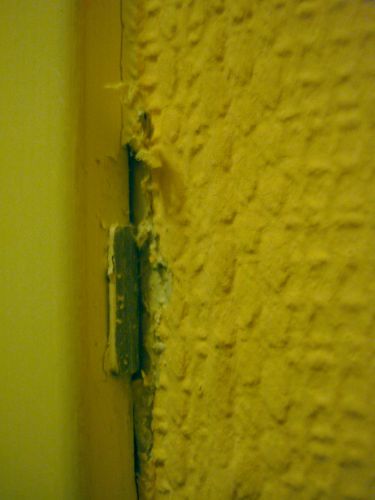 40442_DSC00493_1.jpg