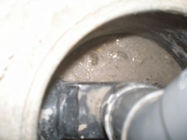 4107_P9190058_1.jpg