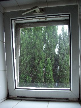 41335_1236861762NCIMG1215_1.jpg