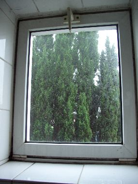 41335_1236861852NCIMG1216_1.jpg