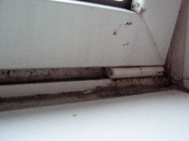 41335_1236861967NCIMG1218_1.jpg
