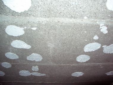 41335_CIMG1186_1.jpg