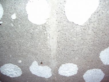 41335_CIMG1188_1.jpg