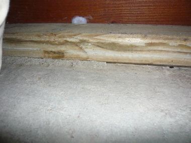 41766_schuurtje3_1.jpg