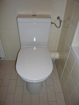 41766_wc1_1.jpg