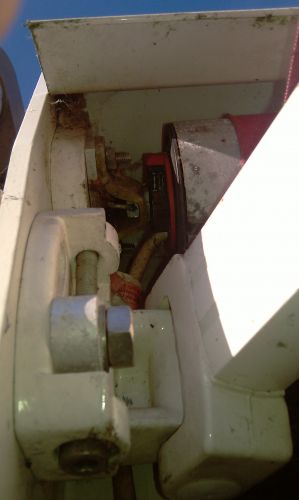 41952_IMAG0345_1.jpg