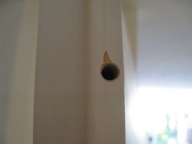 42144_IMG_7234_1.jpg