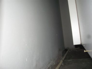42222_GEENINZOOM_1.jpg