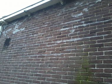 43510_20130131_091548_2.jpg