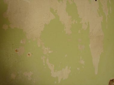 43692_DSC02871_1.jpg