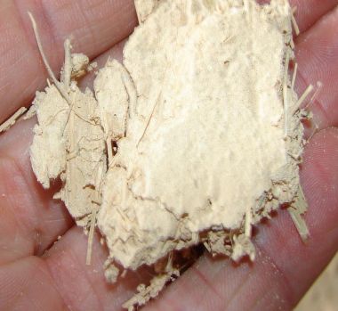 43692_w_1.jpg