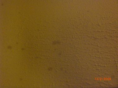 43917_CIMG0348_2.jpg