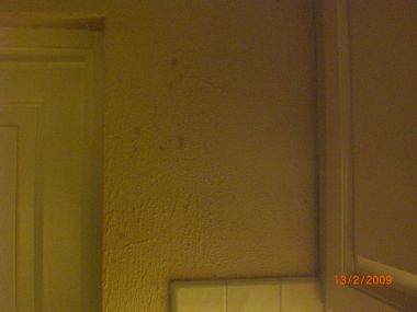43917_CIMG0349_2.jpg