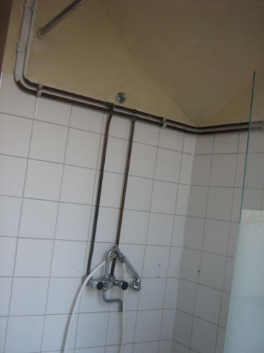 43994_IMG_4418_1.jpg