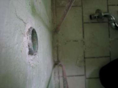 44285_IMG_2388400_1.jpg