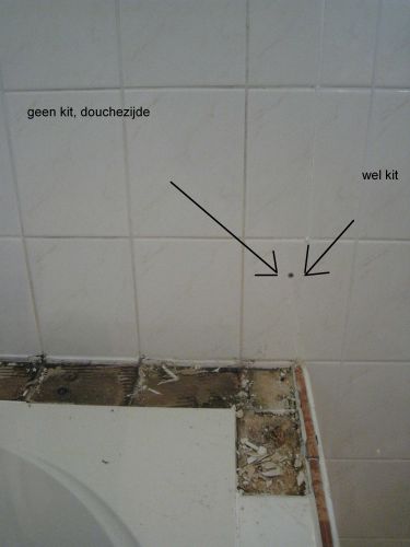 44786_foto_3_1.jpg