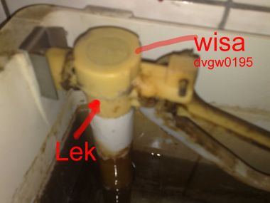 45184_wisa_2.jpg
