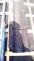 45224_IMAG0159_2.jpg