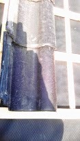 45224_IMAG0160_1.jpg