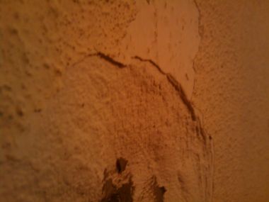 45556_IMAGE_044_2.jpg