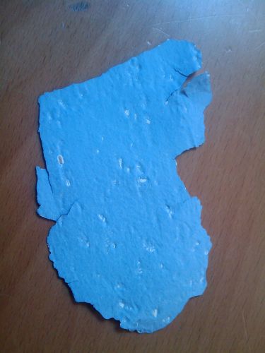 45556_IMAGE_045_1.jpg