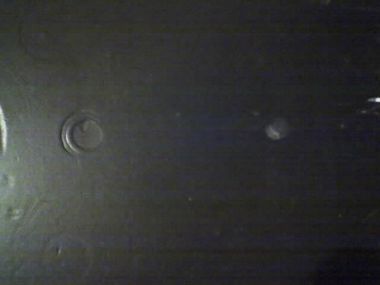 45923_210210_1932_1.jpg