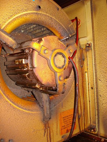 4679_DSC01966_1.jpg