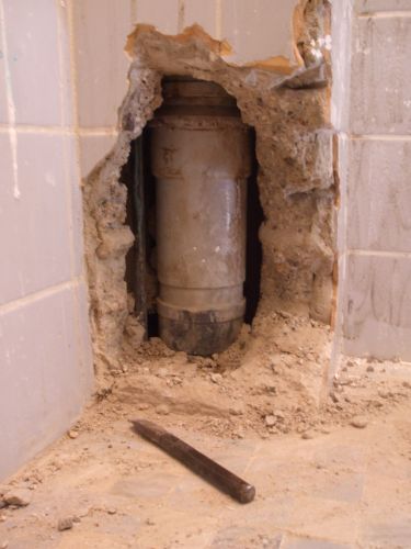46801_fotorioolbuis_1.jpg