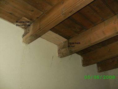 46851_BILD0131_Bewerkt_1.jpg